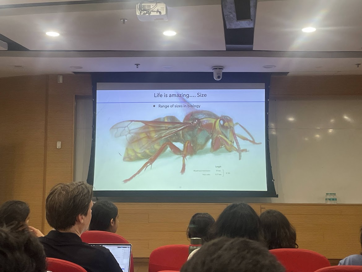 Professor Thomas Lecuit